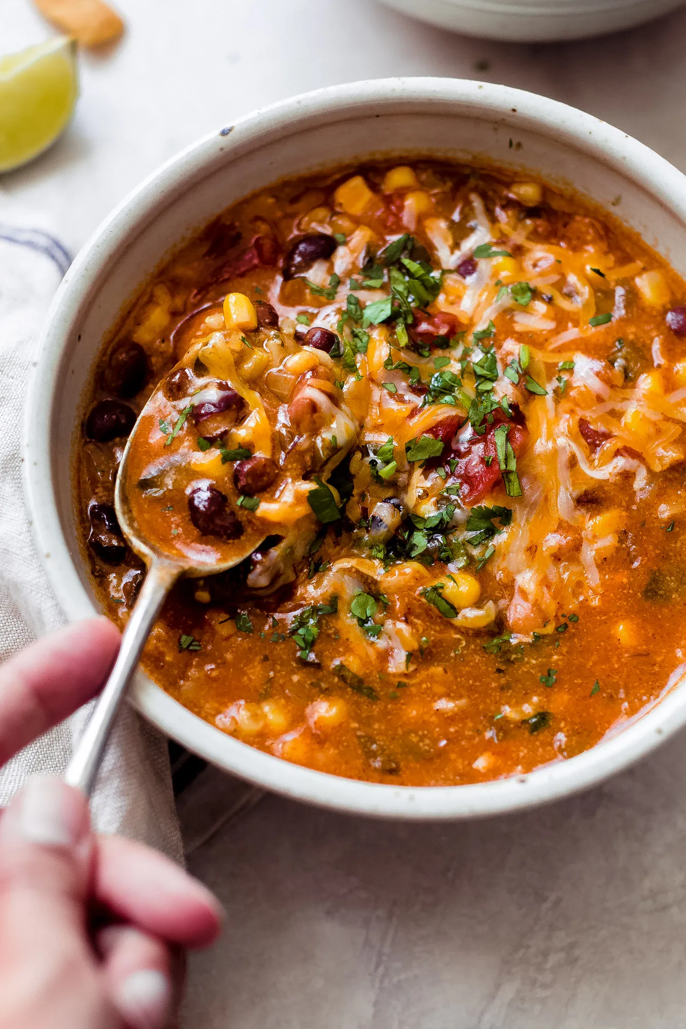 Vegetarian Enchilada Soup with Beans and Rice