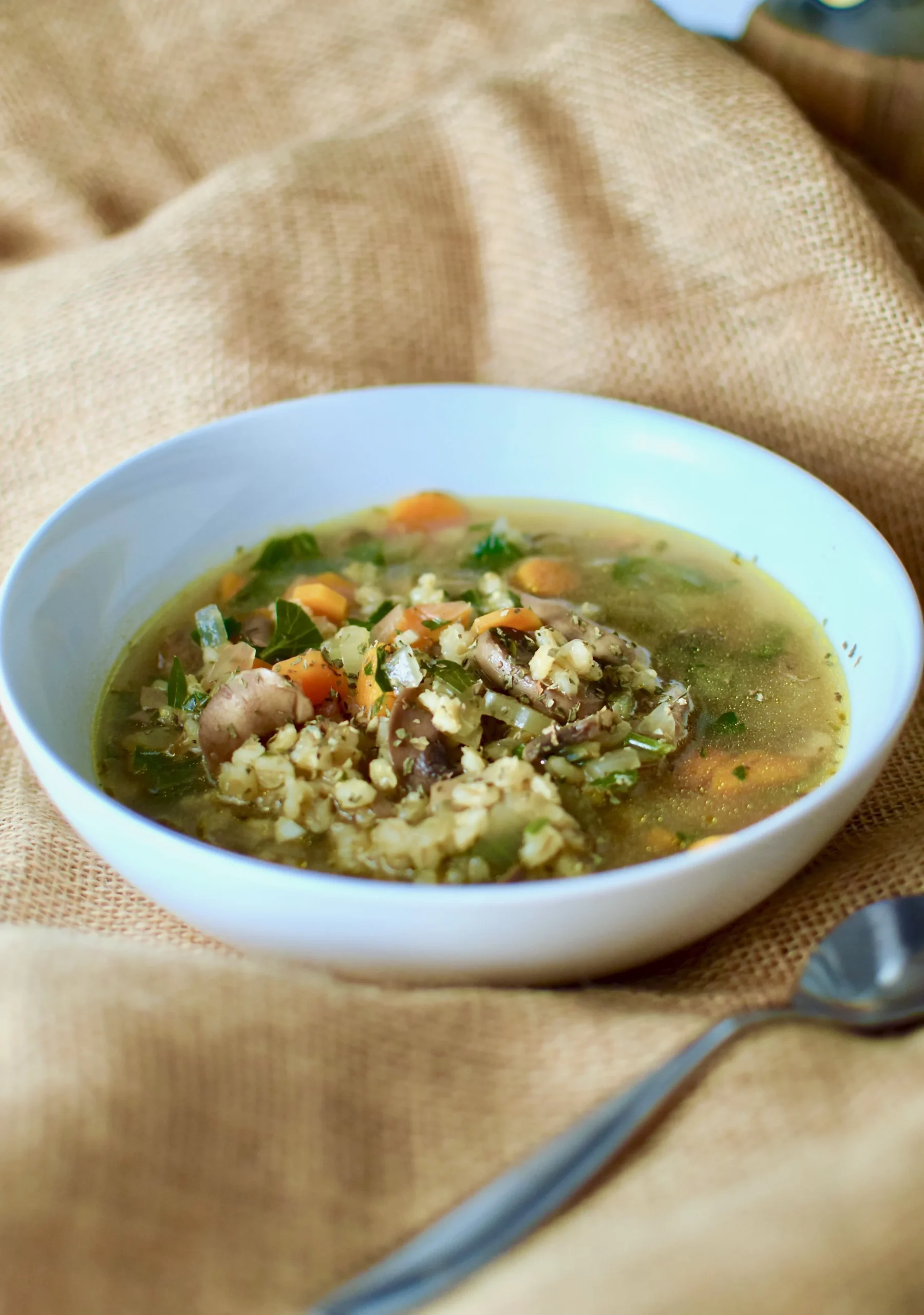 Vegetarian Mushroom Barley Soup