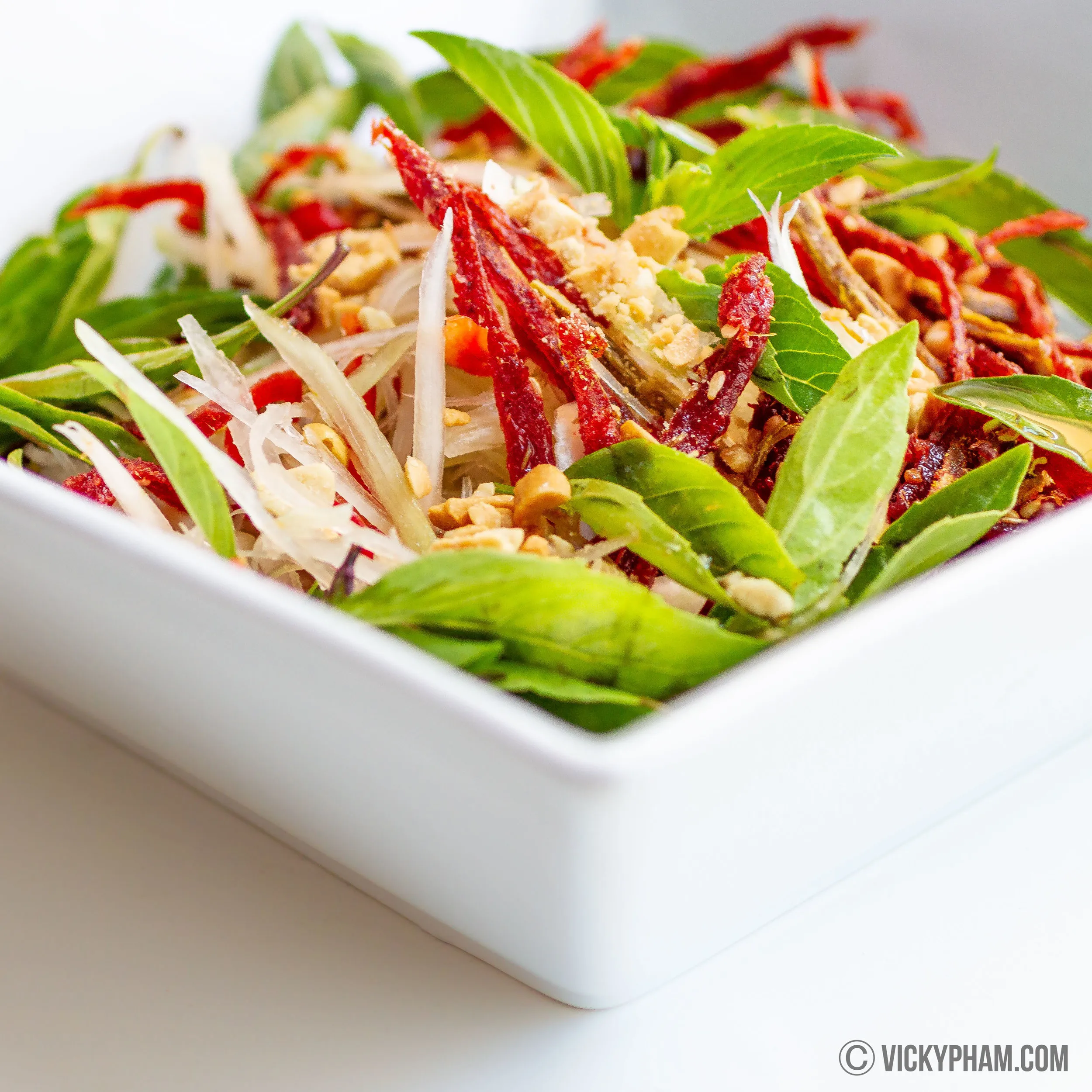 Vietnamese Papaya Beef Jerky Salad