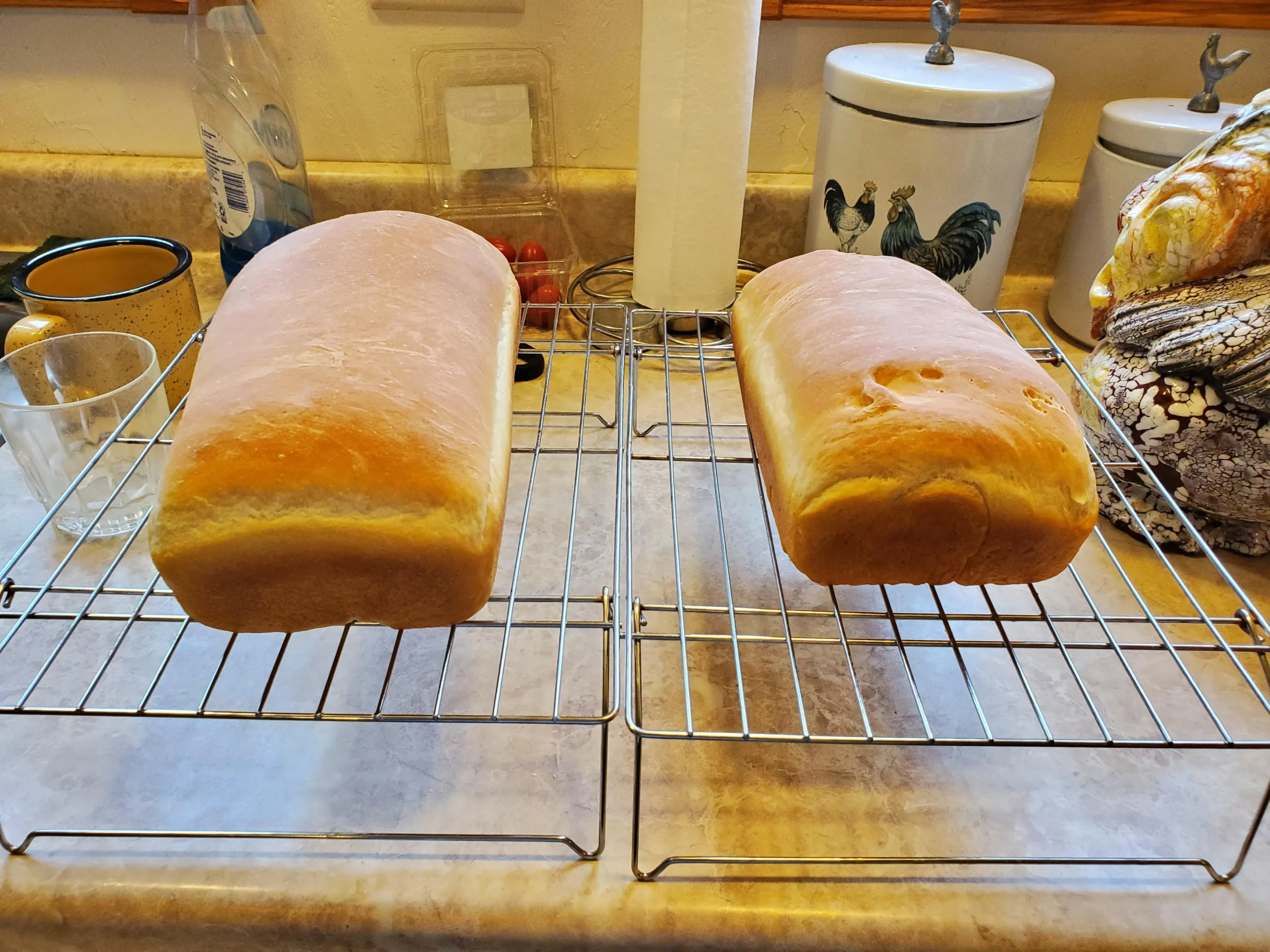 Walter Sand's Basic White Bread