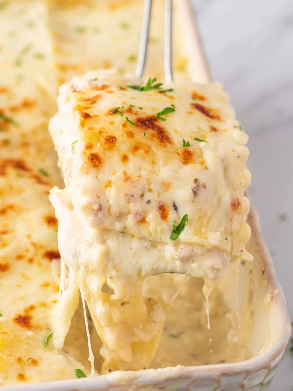 White Cheese Chicken Lasagna