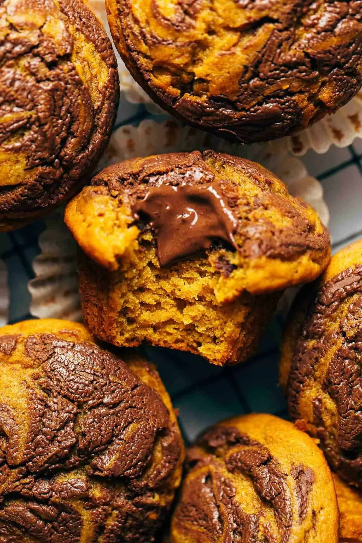 chocolate swirl pumpkin spice muffins