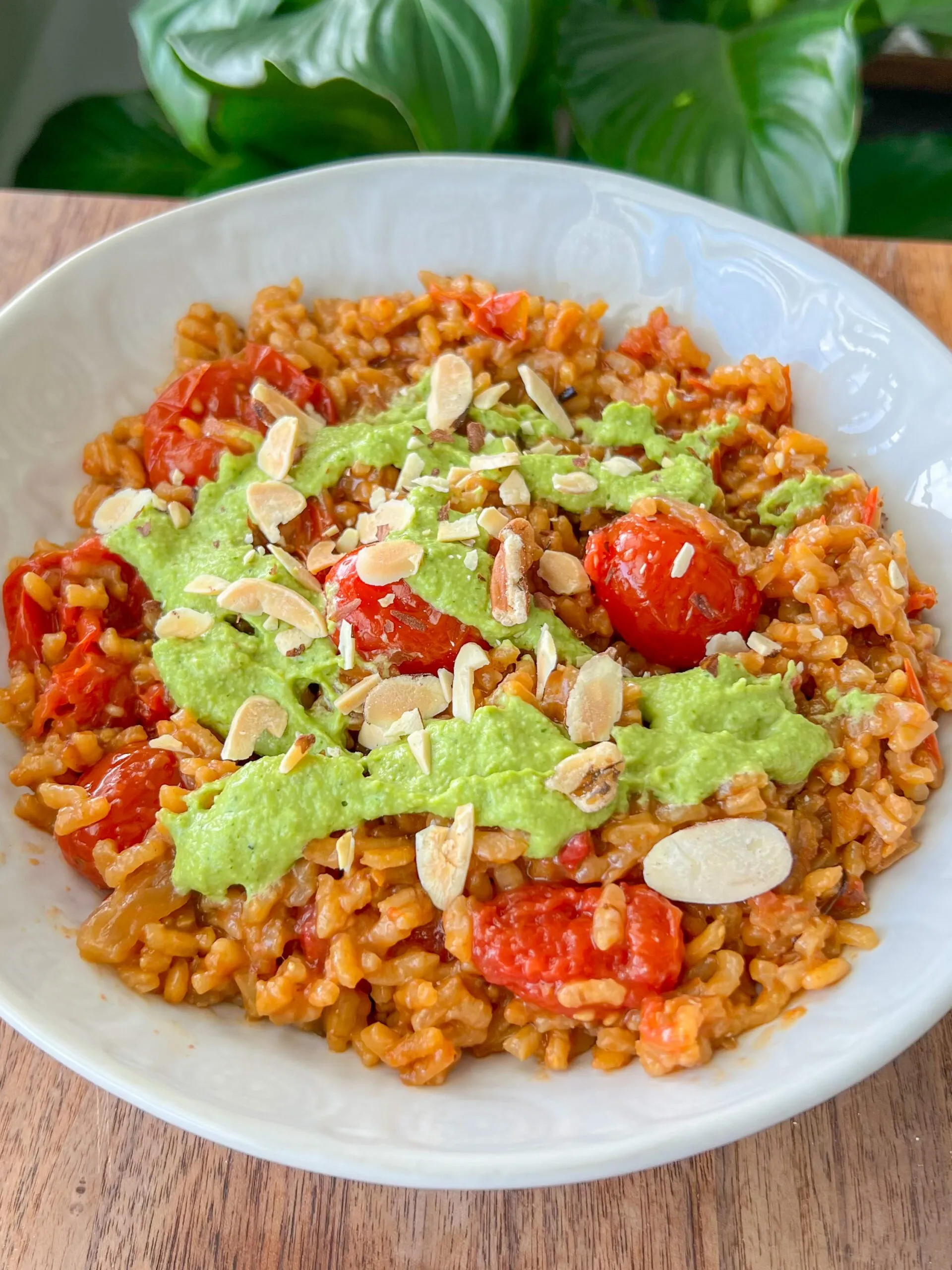 creamy vegan tomato risotto