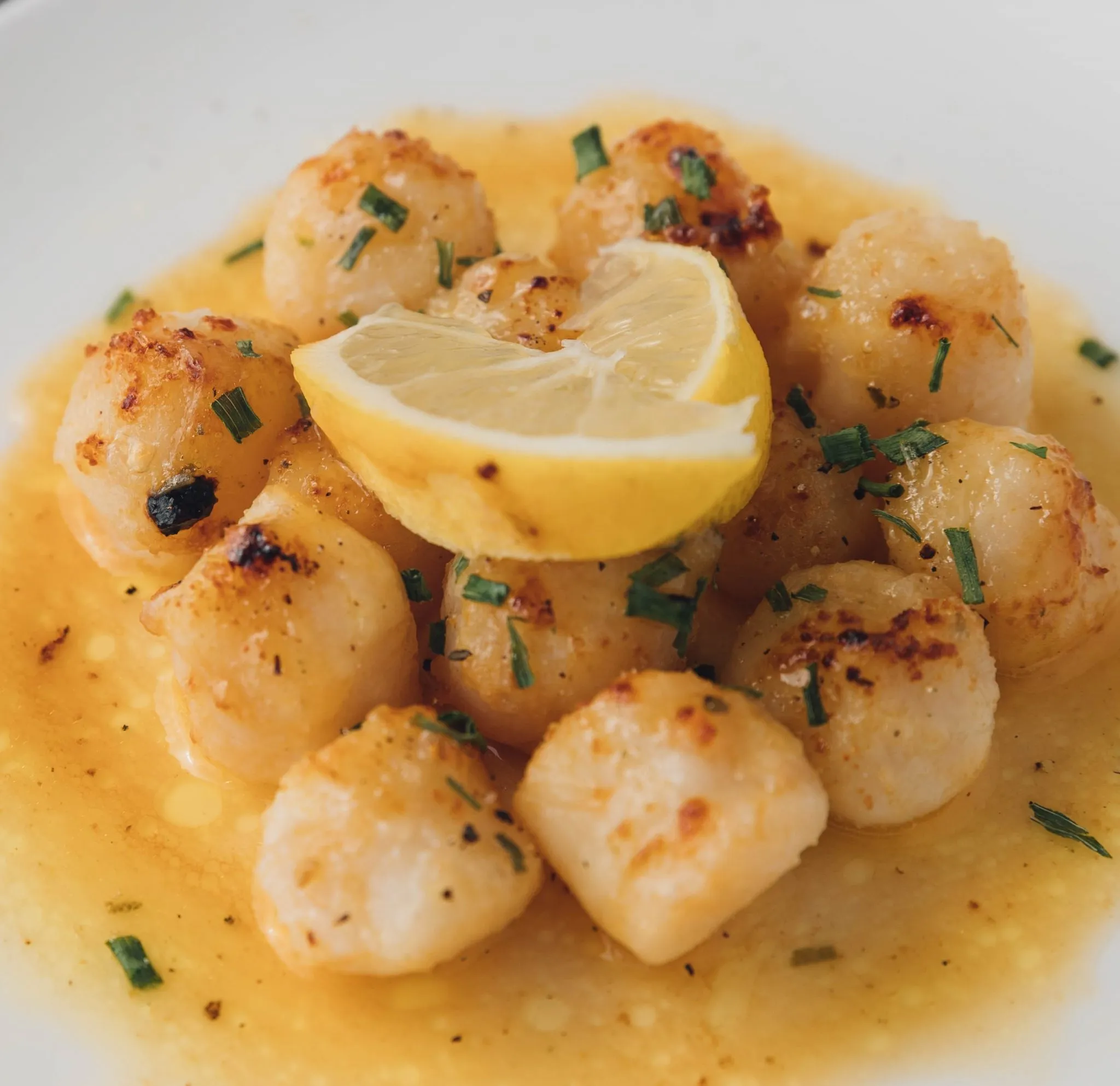 honey broiled sea scallops
