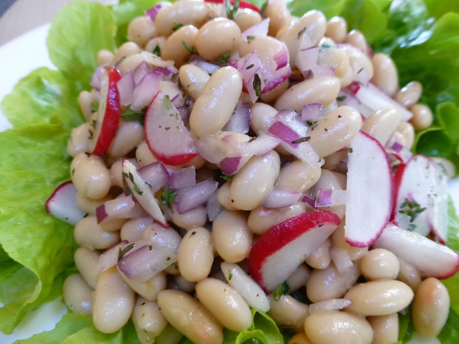 white bean celery and radish salad